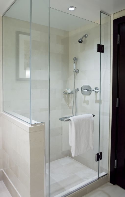 Modern Shower with Frameless Glass
